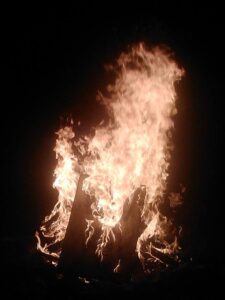 1270885_10202166023018892_1323960009_o