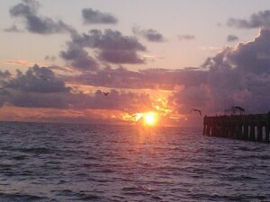 1374060_10202326339666708_2087340931_n