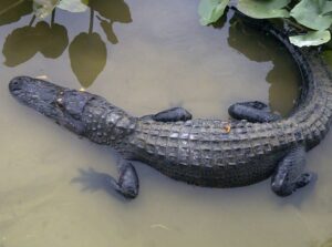 248322_2127647437599_7110434_n