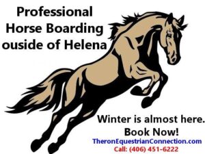 42363866_10155675997816190_8113859457470955520_n